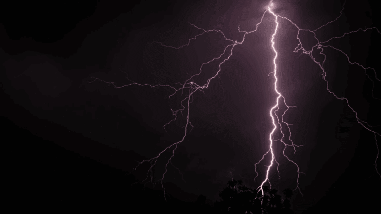 印度男子遭雷擊身亡，家屬竟用「牛糞」試圖將其復活