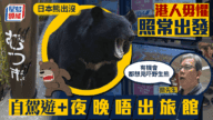 無有怕！港人照衝日本睇熊：自駕遊安全，想見野生熊！