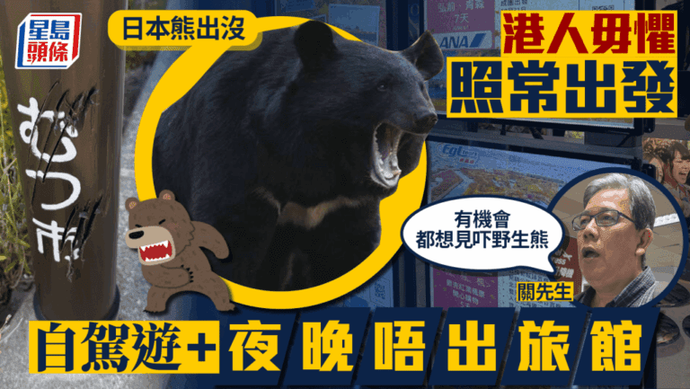 無有怕！港人照衝日本睇熊：自駕遊安全，想見野生熊！
