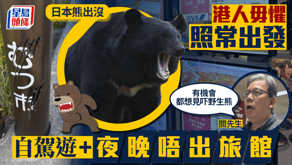 無有怕！港人照衝日本睇熊：自駕遊安全，想見野生熊！