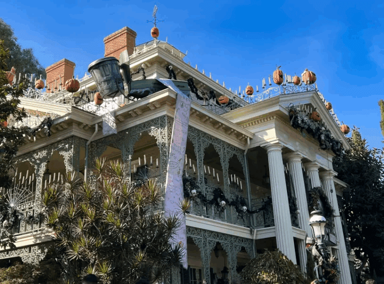 迪士尼樂園發生遊客死亡事件！6旬婦女乘坐後不適送醫不治