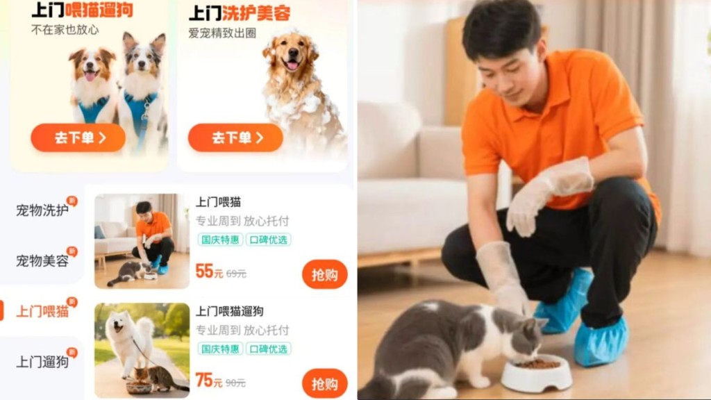 滴滴出行新搞作!進軍寵物市場,餵食散步服務幾十蚊有交易