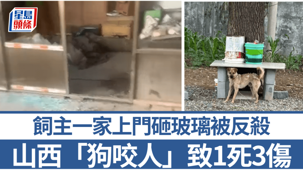 山西鄰里糾紛:狗咬人引發1死3傷慘案,庭審現場女兒堅稱屬正當防衛!