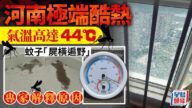 極端天氣｜河南最高 44.4℃「蚊都熱死」專家咁解釋