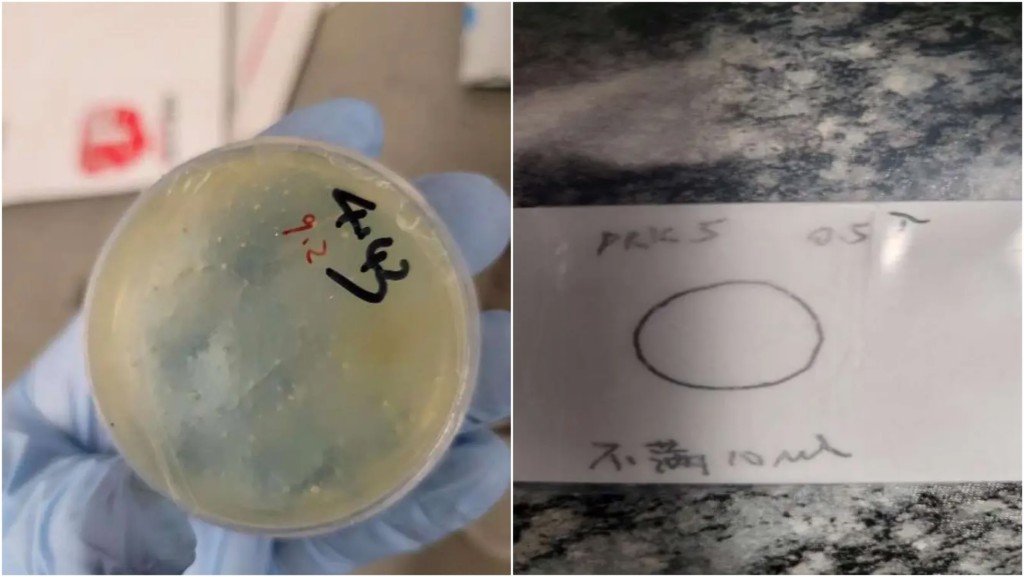 中國博士生涉嫌在美走私生物材料,另有三名學者被控