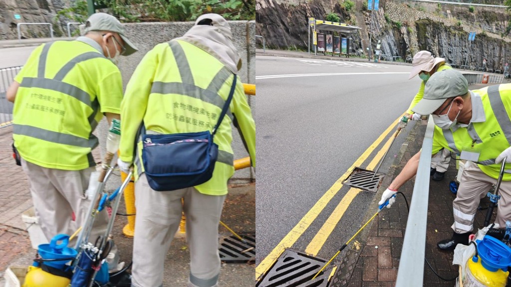 基孔肯雅熱本地再現個案,食環署加強滅蚊行動