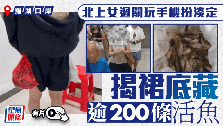 羅湖口岸奇案：女子裙底藏229條活魚闖關，海關人員當場傻眼！