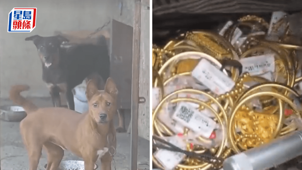 離奇!湖南賊仔偷金留低手機,靠狗吠聲破案? 離奇!湖南賊仔偷金留低手機,靠狗吠聲破案?