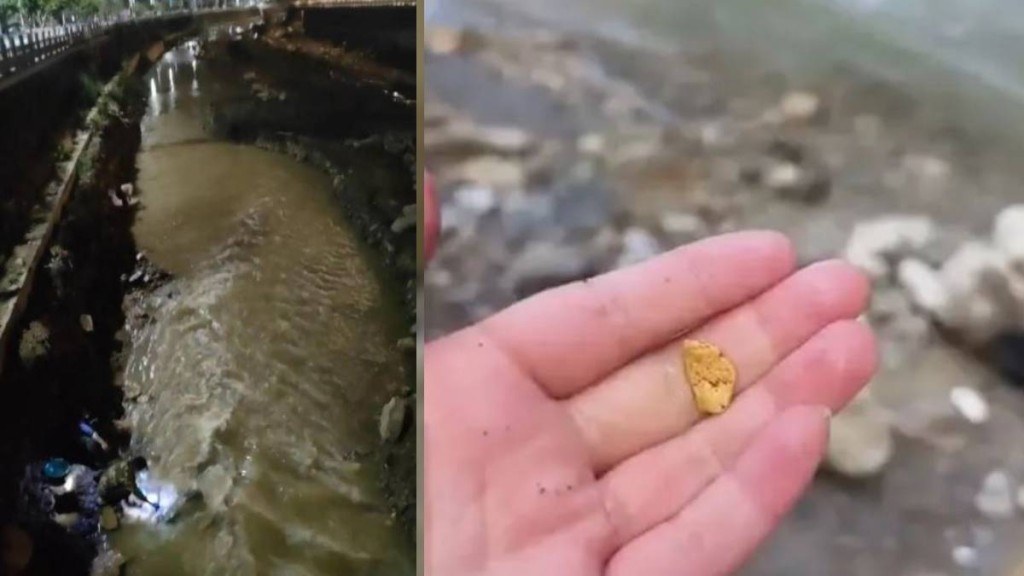 甘肅燕子河現淘金熱!民眾冒4℃低溫 незаконно 尋寶