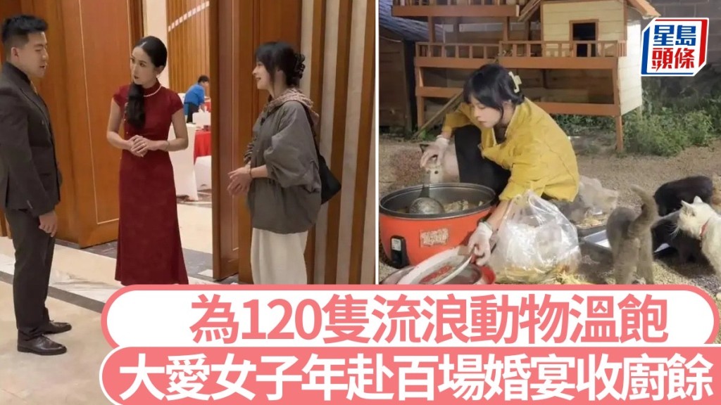 愛心爆棚!雲南女子妙用婚宴剩菜,餵飽120隻流浪動物 愛心爆棚!雲南女子妙用婚宴剩菜,餵飽120隻流浪動物