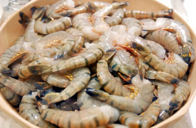 美國主要港口驚現輻射蝦與運動鞋，背後原因是？