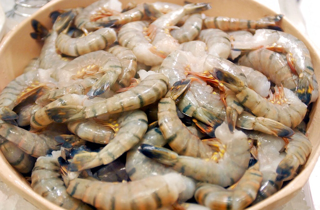 美國主要港口驚現輻射蝦與運動鞋,背後原因是? 美國主要港口驚現輻射蝦與運動鞋,背後原因是?