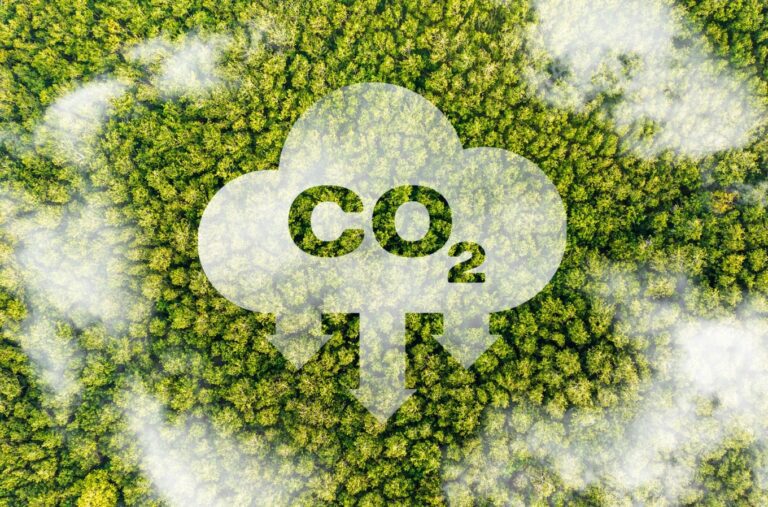 尼泊爾護林減碳獲巨款，世界銀行940萬美元獎勵藏何玄機？