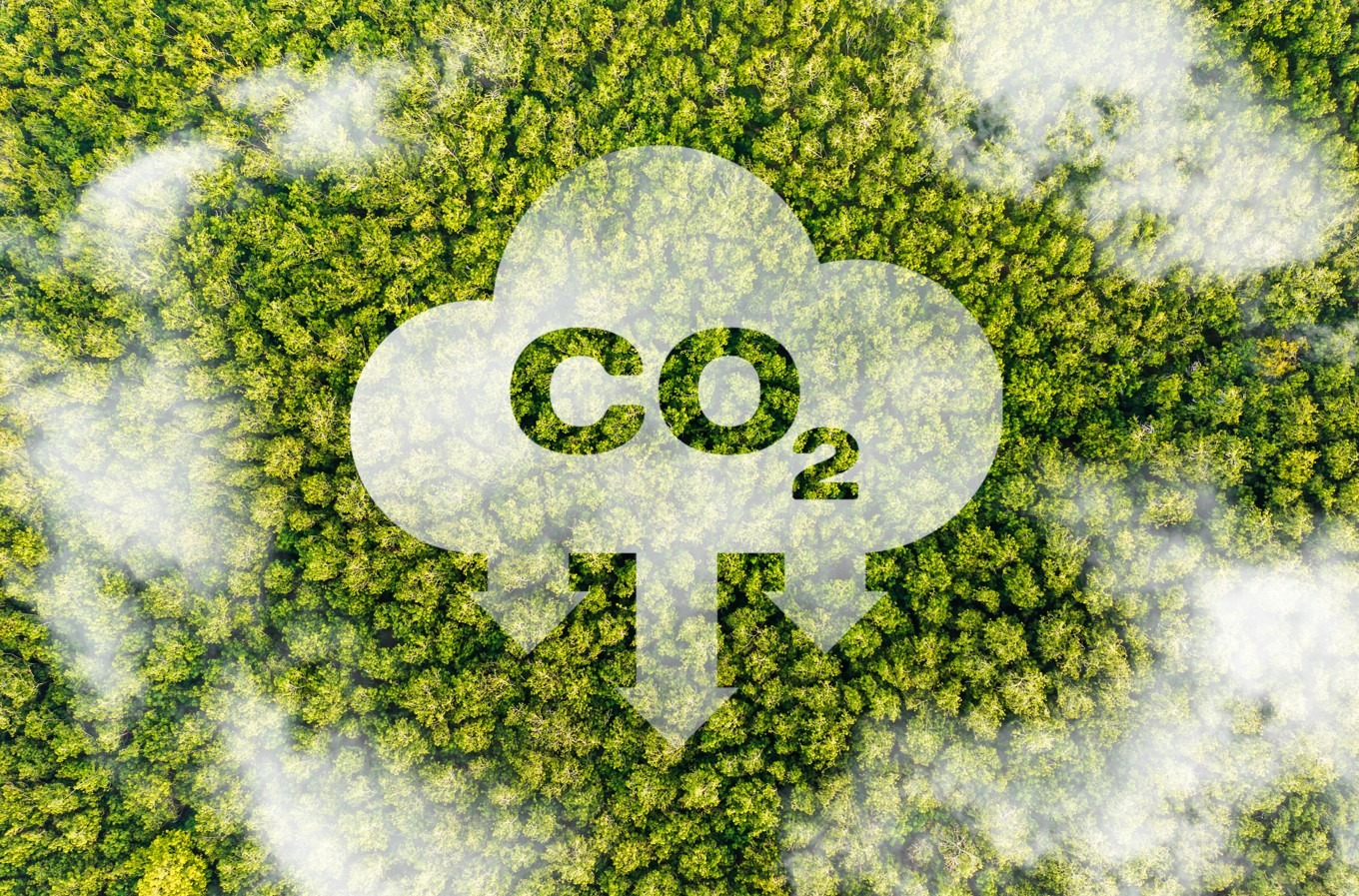 尼泊爾護林減碳獲巨款,世界銀行940萬美元獎勵藏何玄機? 尼泊爾護林減碳獲巨款,世界銀行940萬美元獎勵藏何玄機?