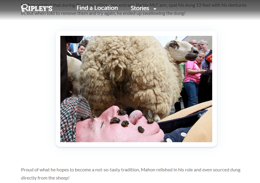 愛爾蘭奇葩競賽揭秘:冠軍竟將羊糞吐出近十米遠 愛爾蘭奇葩競賽揭秘:冠軍竟將羊糞吐出近十米遠