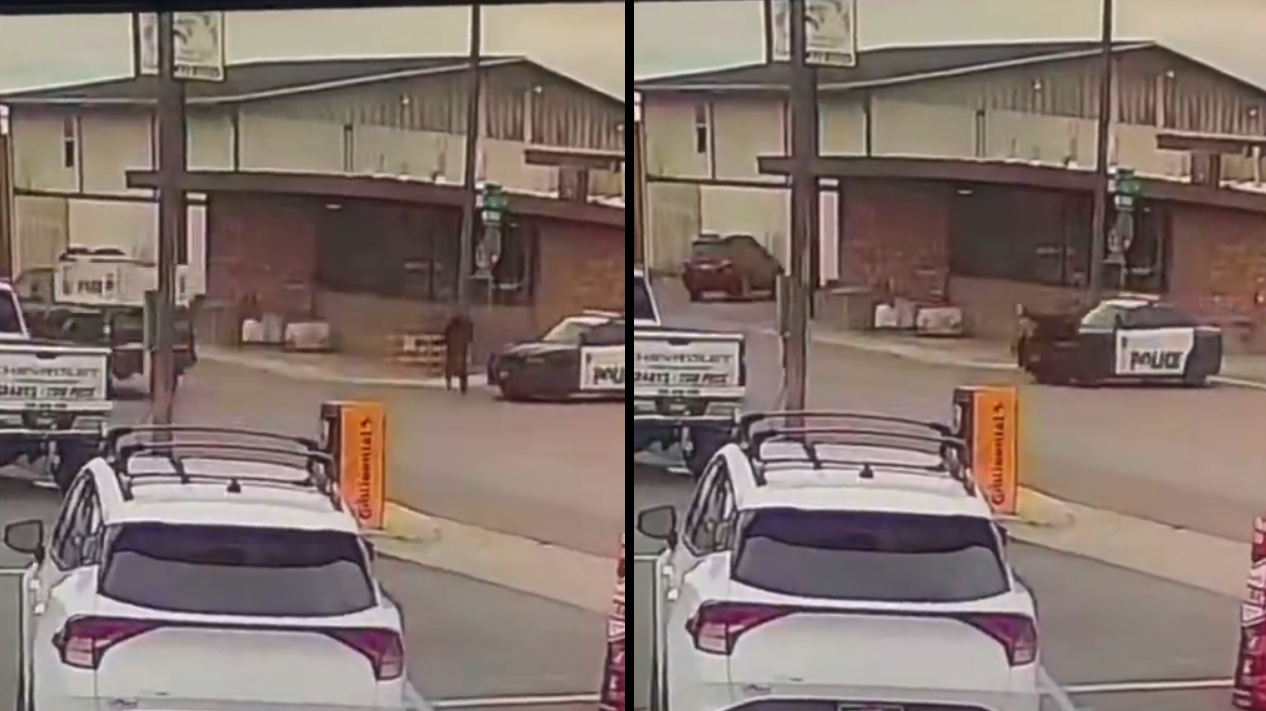 愛達荷州警車路口撞人畫面曝光 涉事警員處理引發關注 愛達荷州警車路口撞人畫面曝光 涉事警員處理引發關注