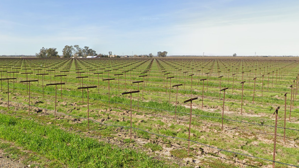 沙加緬度農民收支失衡 致函華府求援|細說燊語 沙加緬度農民收支失衡 致函華府求援|細說燊語