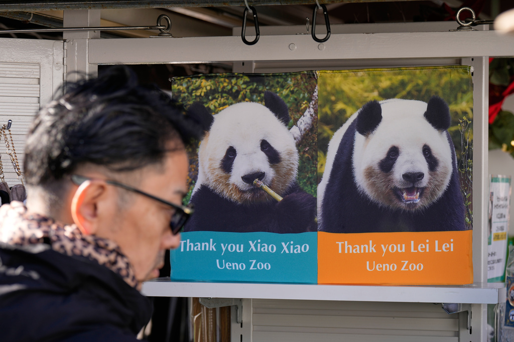 東京兩隻熊貓將提前返華,中日「熊貓外交」生變? 東京兩隻熊貓將提前返華,中日「熊貓外交」生變?