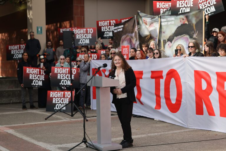 闖養雞場救雞   維權女子判囚90天