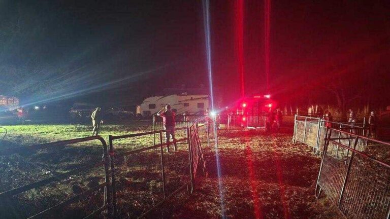 北加男子涉虐逾兩百動物