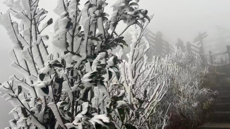 聖誕北上注意！廣東氣溫急降，粵北現冰掛，深圳周五低見10℃