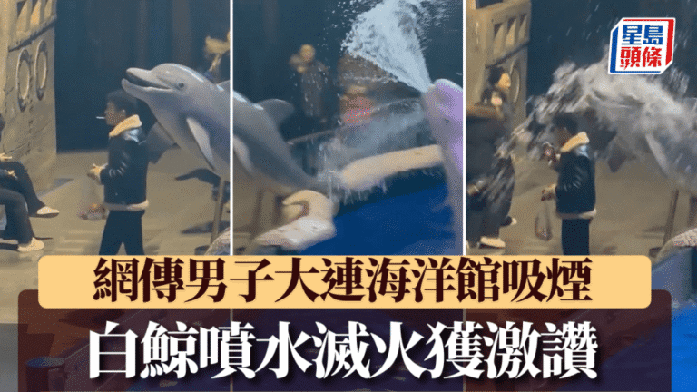 白鯨勇滅煙火，網民熱讚正義小衛士