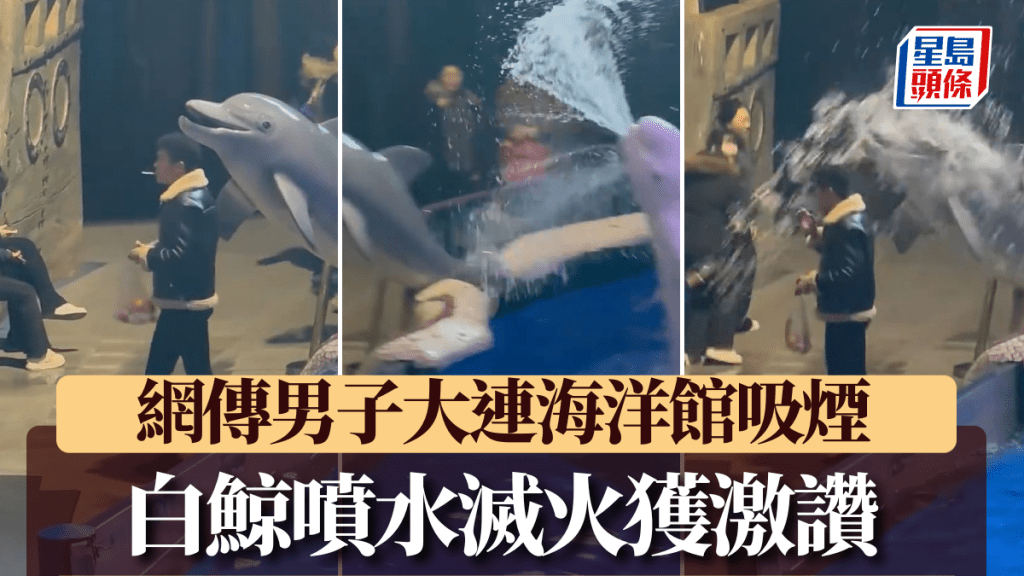 白鯨勇滅煙火,網民熱讚正義小衛士 白鯨勇滅煙火,網民熱讚正義小衛士
