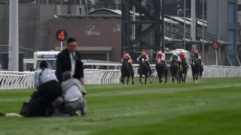 沙田馬場驚現闖入者！中年漢衝入賽道遭即時制服 涉擾亂秩序被捕