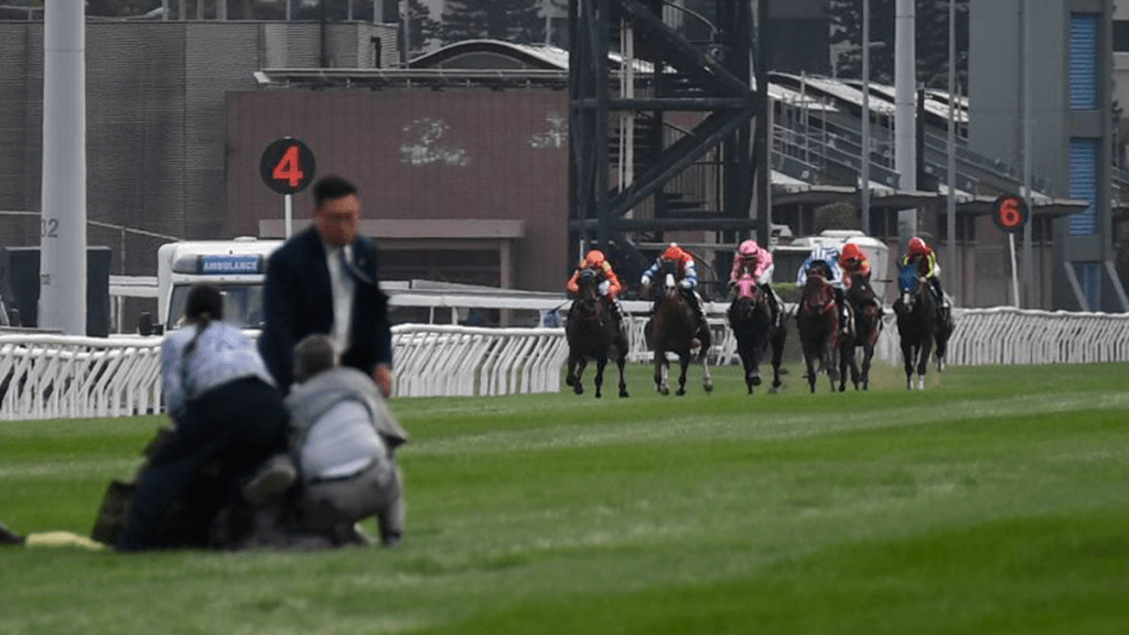 沙田馬場驚現闖入者！中年漢衝入賽道遭即時制服 涉擾亂秩序被捕