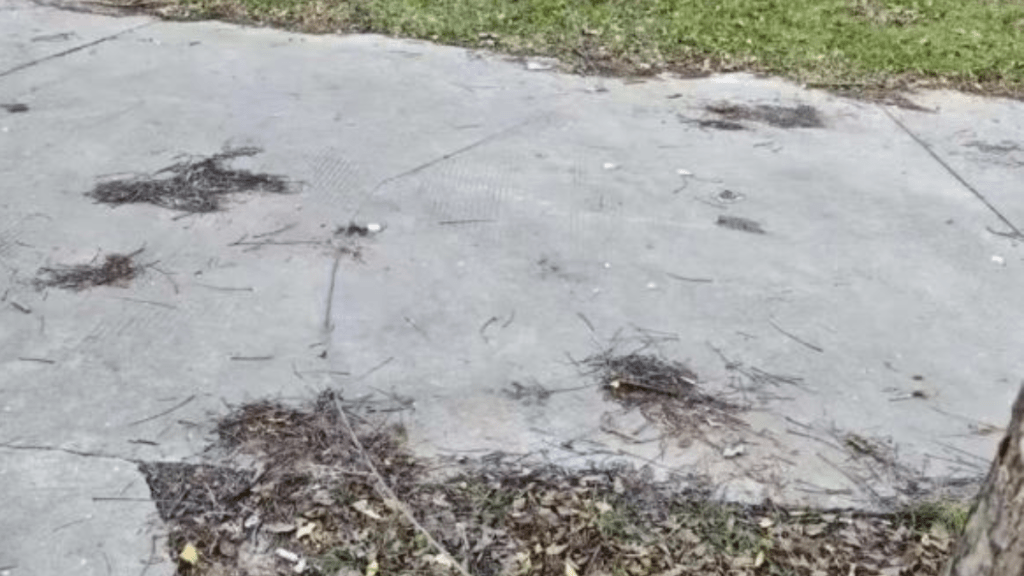 致命隱蔽鐵絲割頸喪命｜男子踩三輪車經森林公園遭遇致命隱蔽鐵絲割頸喪命