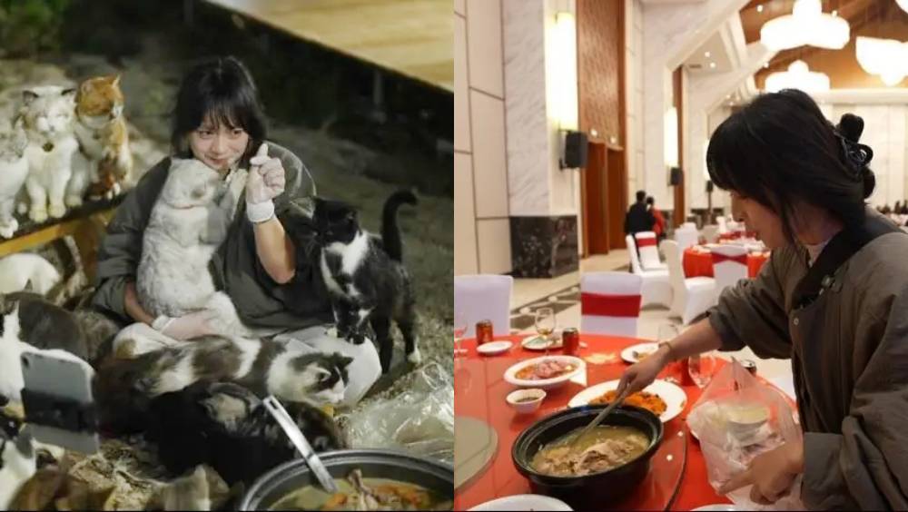 社恐女孩為126隻毛孩勇敢出擊！一年跑百場婚宴「討剩餸」背後，是與流浪貓的雙向治癒