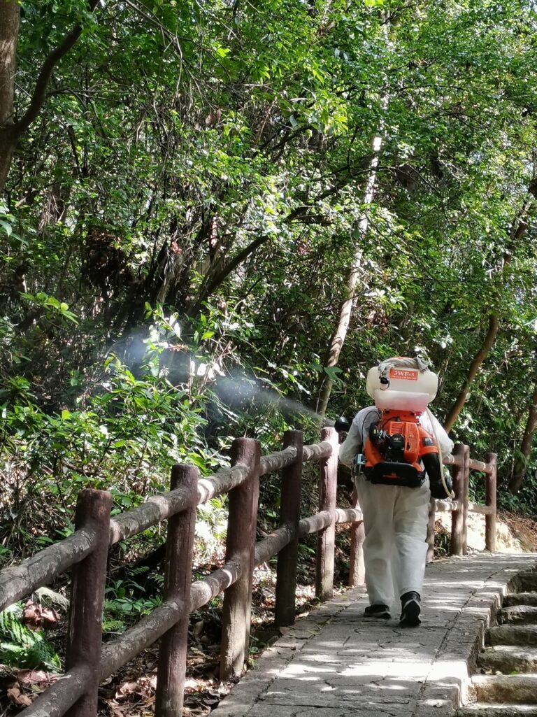 青衣自然徑爆基孔肯雅熱傳播鏈！食環署出動機械狗、49次霧化滅蚊清1800個孳生地