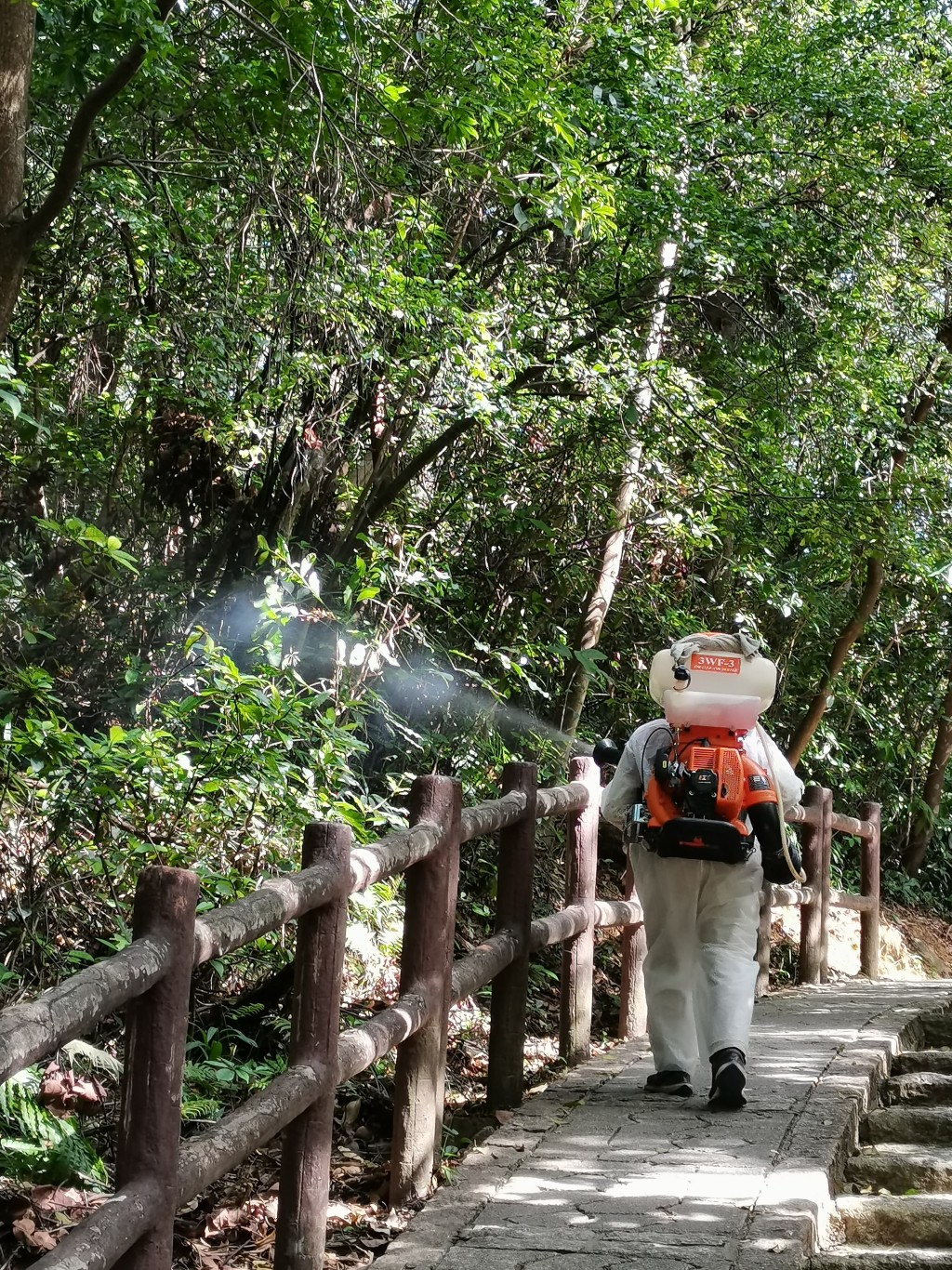 青衣自然徑爆基孔肯雅熱傳播鏈！食環署出動機械狗、49次霧化滅蚊清1800個孳生地