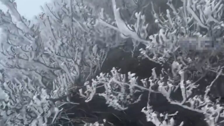 廣東急凍！廣州低見5度 清遠金子山現冰掛奇景