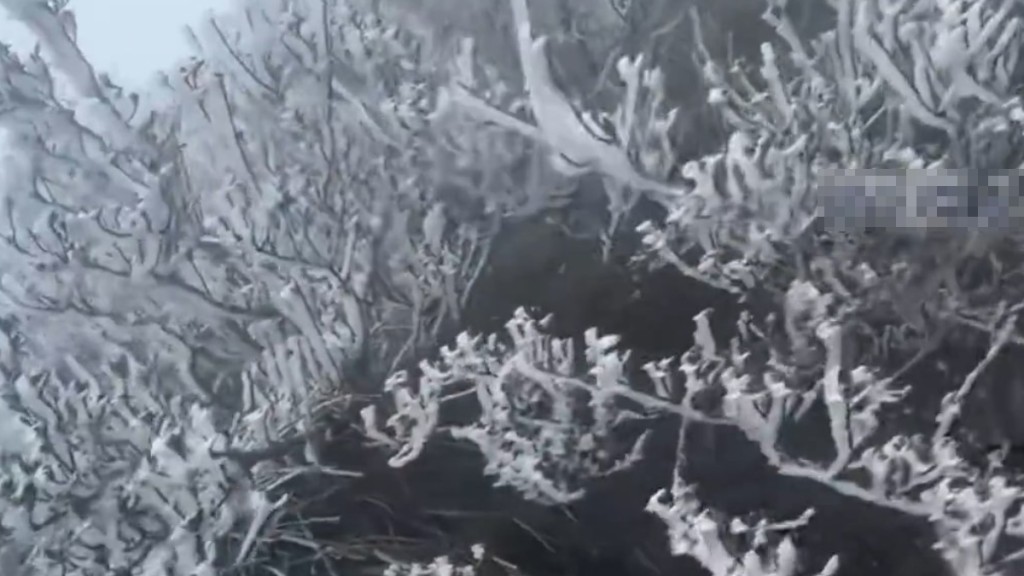 廣東急凍！廣州低見5度 清遠金子山現冰掛奇景