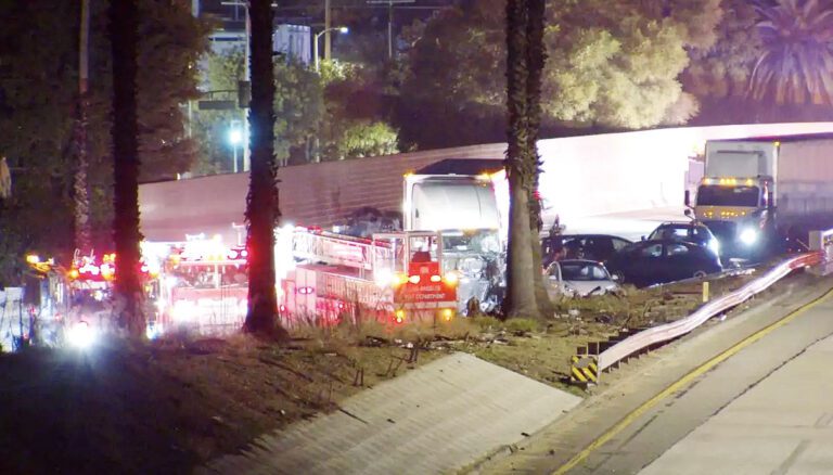 洛杉磯市5號高速路重大連環車禍　1死10送醫