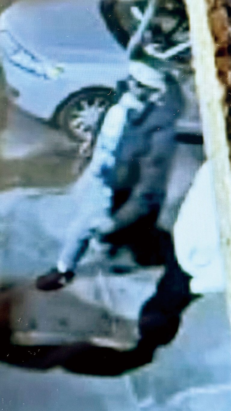 新州2亞裔平安夜華埠街頭購假包   遭對方以查現金真偽為由搶劫