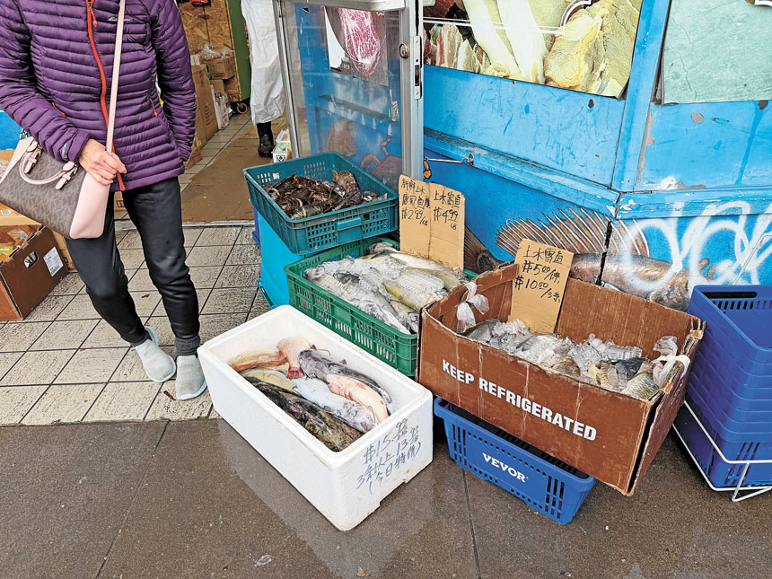 停電數天未恢復釀成金山大災難