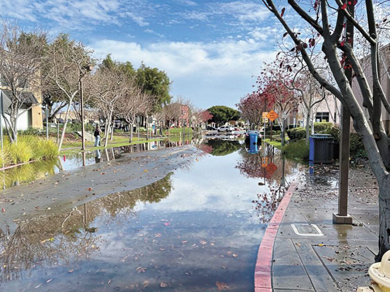 聖誕前夕風暴抵灣區多地災情開始