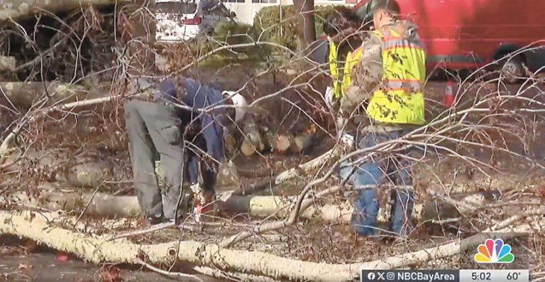 強風暴雨狂襲灣區淹水樹倒頻斷電