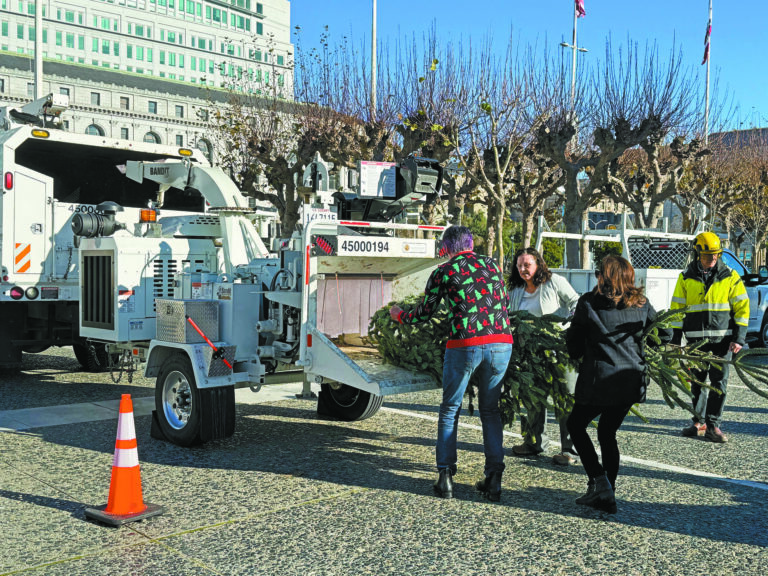 金山啟動聖誕樹回收 延續環保傳統