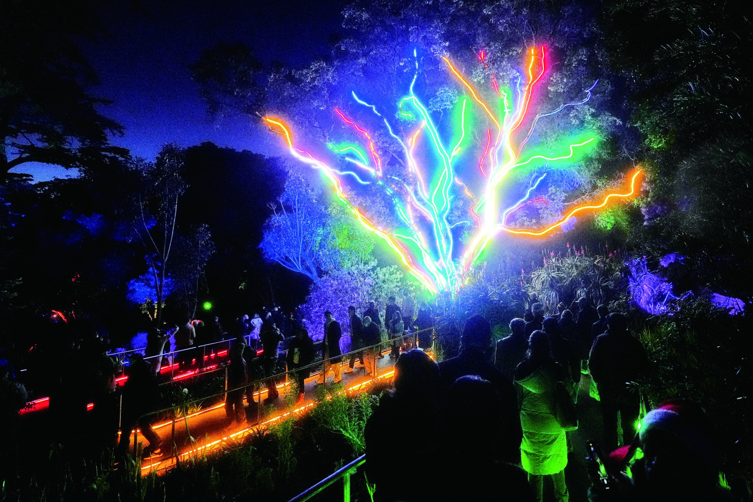 人們欣賞Lightscape燈光展的「霓虹草莓樹」展區。美聯社