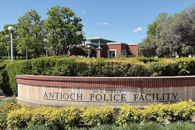 害群之馬清除盡 指揮團隊已更新