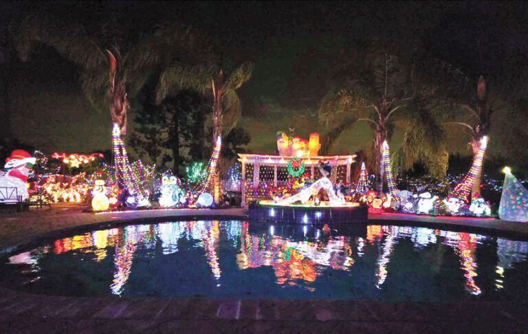 一家聖誕美燈飾  便是社區好風景