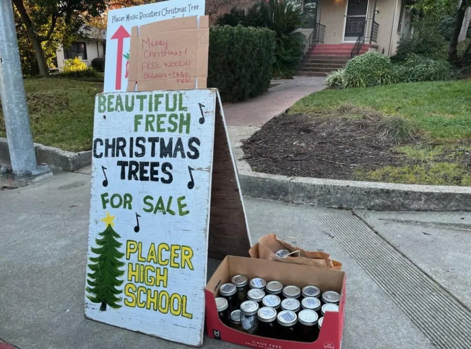 加州高中旁現「免費大麻」聖誕佈置,警方揭開背後真相 加州高中旁現「免費大麻」聖誕佈置,警方揭開背後真相