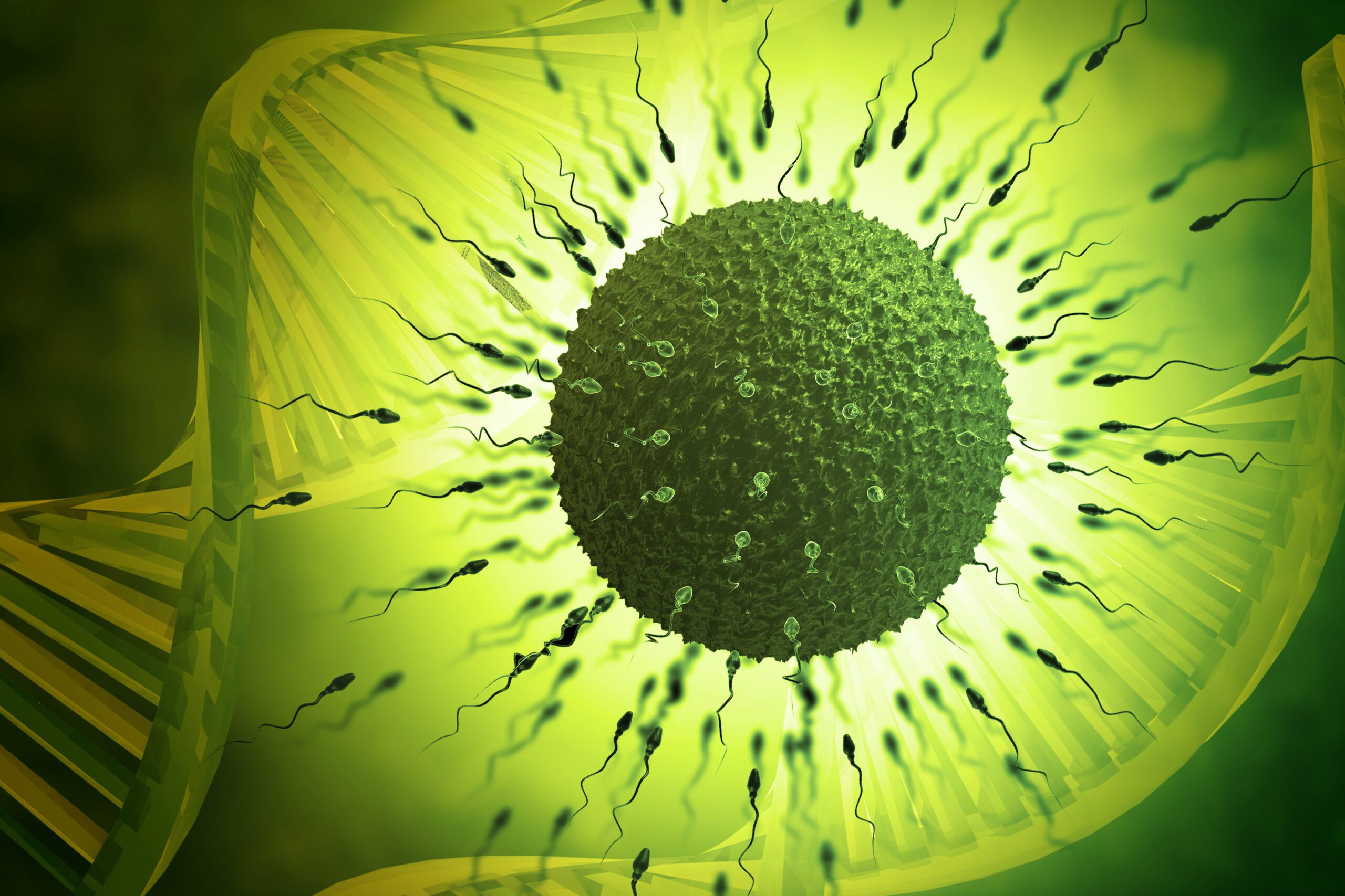 絕育竟是長壽秘訣？跨物種研究揭示哺乳動物繁殖的代價