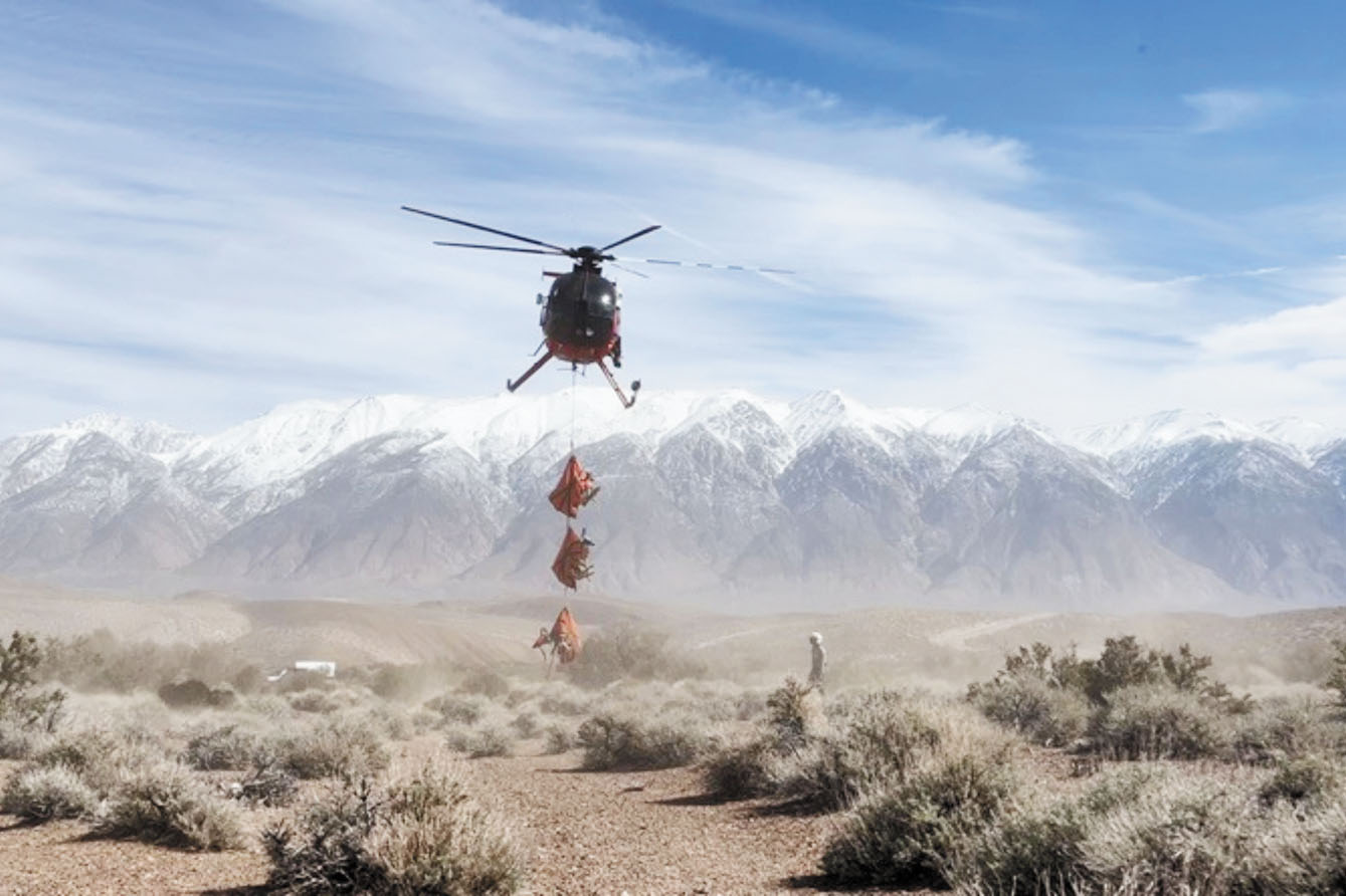 當局出動直升機捕捉鹿、麋鹿和灰狼，為其佩戴GPS追蹤裝置。加州魚類及野生動物局