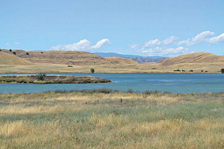 聯邦批准西特斯水庫環評   向明年初動工邁進一大步