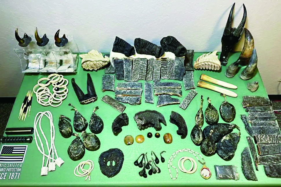 州府搗毀中谷野生動物走私網絡