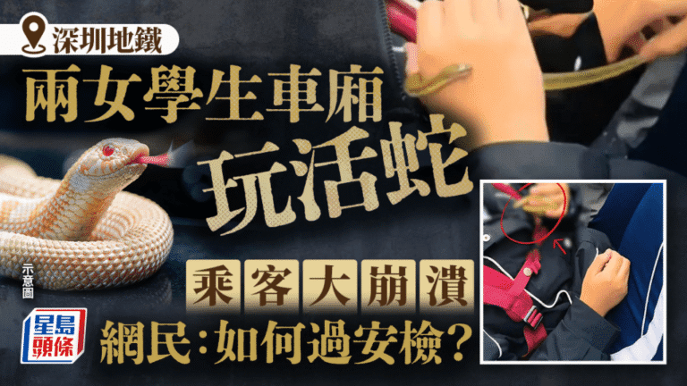 深圳地鐵驚現活蛇！兩女生車廂內把玩嚇壞乘客，網民怒轟：安檢怎麼過的？